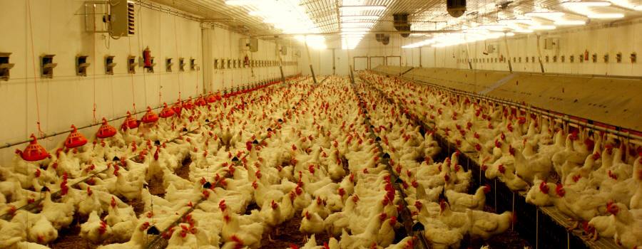 zemědělská technika 01